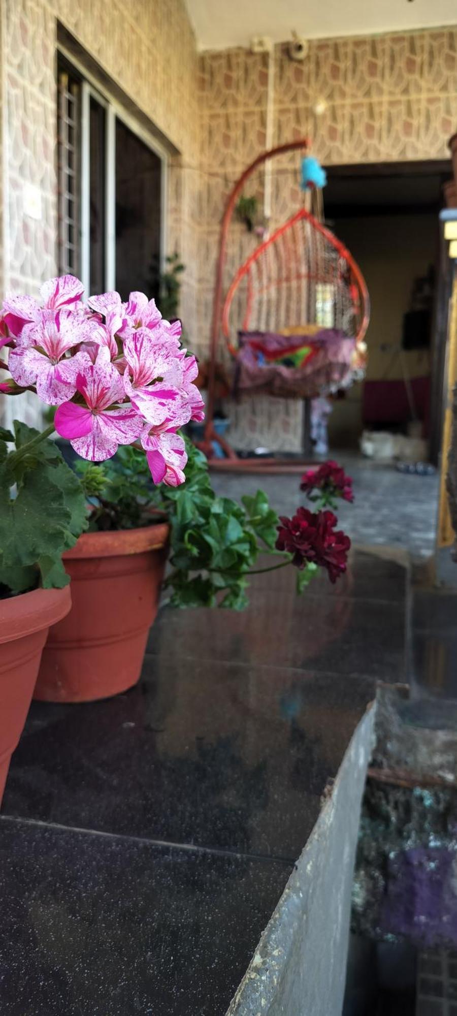Royal Palm Homestay Madikeri Eksteriør bilde