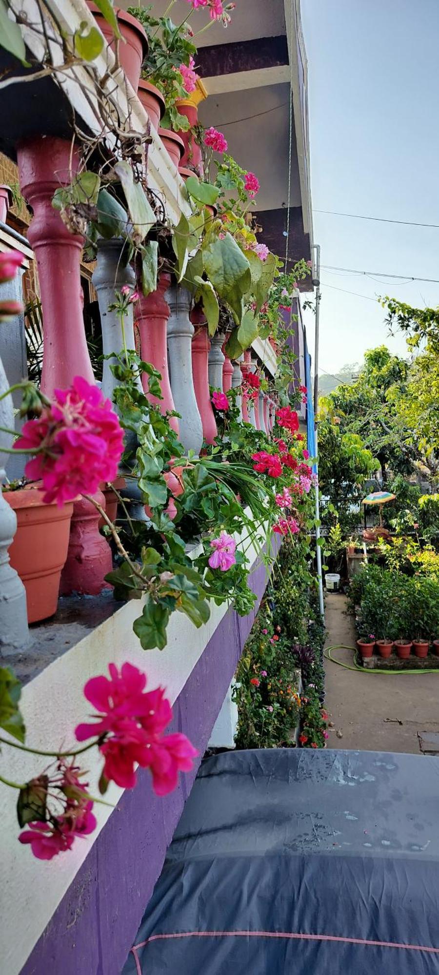 Royal Palm Homestay Madikeri Eksteriør bilde