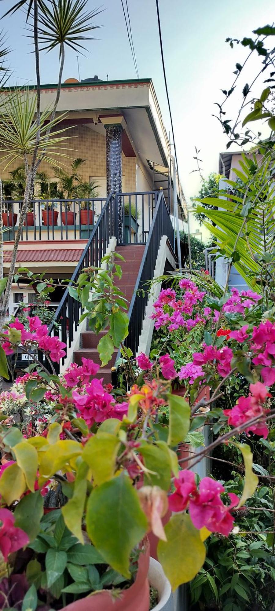 Royal Palm Homestay Madikeri Eksteriør bilde